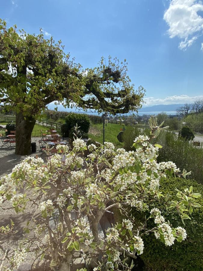 Hotel Montfort-Schlössle Lindau  Eksteriør bilde