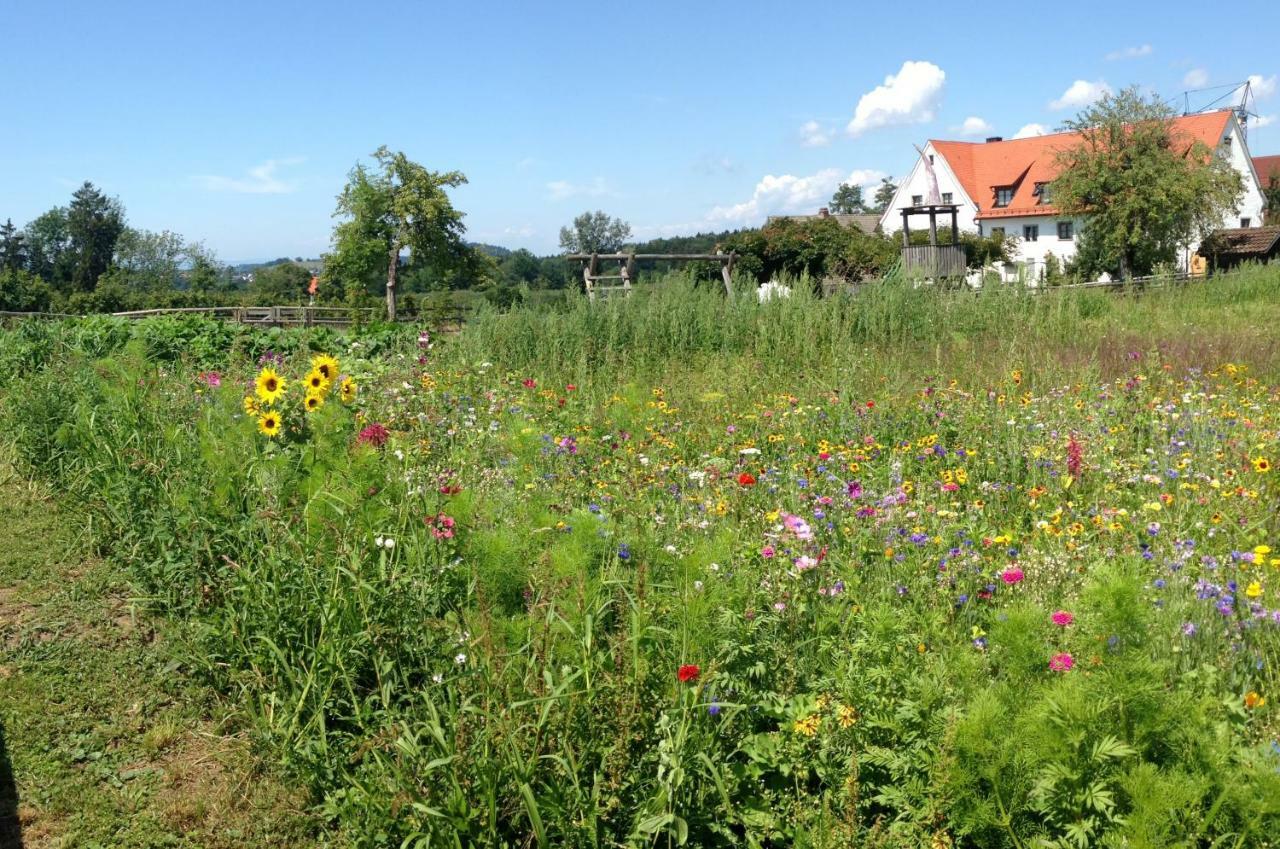 Hotel Montfort-Schlössle Lindau  Eksteriør bilde